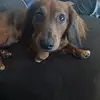 William Mcelyea - @william.mcelyea - TikTok