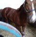 William Mcgaughey - Facebook