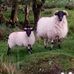 William McGloin - Facebook