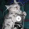 William - @william.cuy - TikTok
