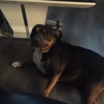 William Mcgonigle - @mcgoniglewilliam - Instagram
