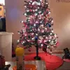 williammcgrady601 - @williammcgrady601 - TikTok