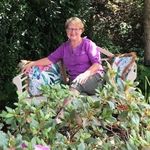 Diana McGuffin Williams - @dianamcguffinwilliams - Instagram