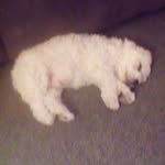 William McHenry - @mchenrywilliam - Instagram