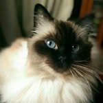 William McInnes - @williammcinnes - Instagram