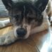 William McIvor - Facebook