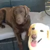 Will Mcluckie - @william.mcluckie - TikTok