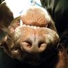 williammcmaster23 - @will_ftw2 - TikTok