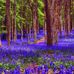 William Mcmenemy - Facebook
