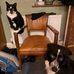 William McMeikan - Facebook