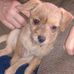William Mcnichols - Facebook