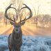 William Mcphee - Facebook