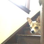 William Mcswain - @mcswai_n - Instagram