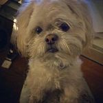 William Richard Mcvicker - @williammcvicker - Instagram
