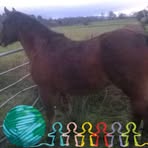 William McVitty - Facebook