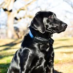 William Mears - @william.mears - Instagram