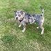 Bill Medhurst - Facebook