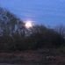 William Medhurst - Facebook