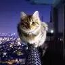William Medhurst - @williammedhurst - TikTok