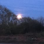 William Medhurst - @mailliwmedhurst - Instagram