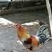 William Medrano - Facebook