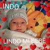 William Melara - @williammelara - TikTok