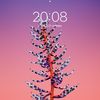 william.mellander - @william.mellander0 - TikTok