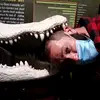 WilliamEllis - @william1979ellis - TikTok