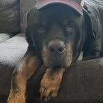 William Melvin - Facebook