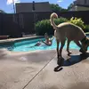 William Ménard - @williammnard - TikTok