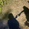 William Mendelson - @williammendelson_8803 - TikTok