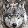 William Merit - @williammerit49 - TikTok