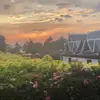 william.merring - @william.merring - TikTok