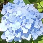William Mesa - @william.mesa.35 - Instagram