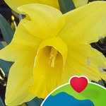 William Mesa - @williammesa_ - Instagram