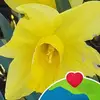 williammesa42 - @williammesa42 - TikTok