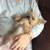 williammeserve29 - @williammeserve29 - TikTok
