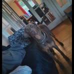 William Methot - Facebook