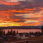 William Meyer - @william.meyer.3532 - Instagram