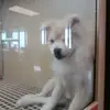 William Meyer - @william.meyer0 - TikTok