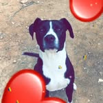 william - @williammeynier19 - Instagram