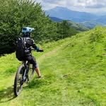 William  Meynieu - @williammeynieu - Instagram