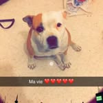 William Meynier - @meynierwilliam - Instagram