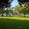 William_miceli_2015 - @william_miceli_2015 - TikTok