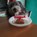 William Miceli - @william.miceli.75 - Instagram