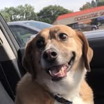 William Michaelson - @victimoftupperware - Instagram