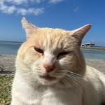 ミシュランガイド®︎ - @william_michelin289 - Instagram