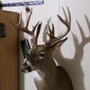 Hammerhead - @williammick340 - TikTok