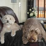 William Middlemass - @williammiddlemass - Instagram