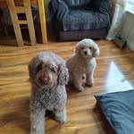 william middlemass - @middlemasswilliam - Instagram